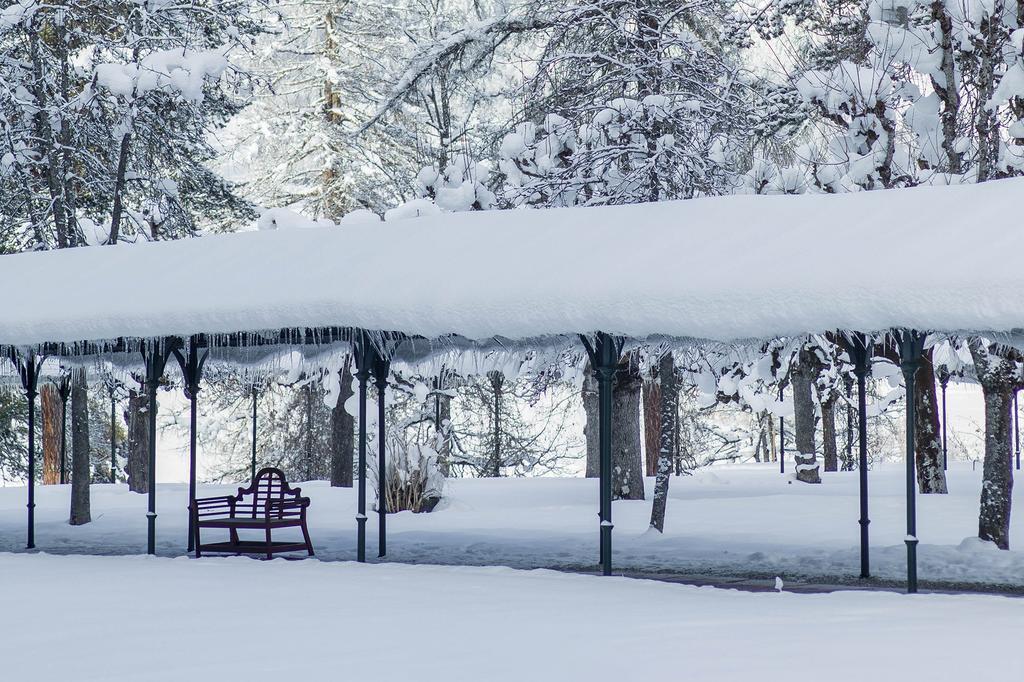 Chalet Belmont By Waldhaus Flims Buitenkant foto